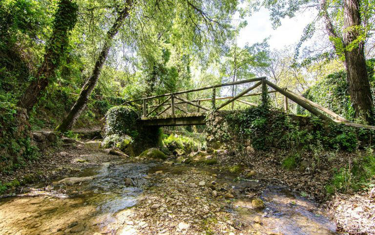 Cazorla